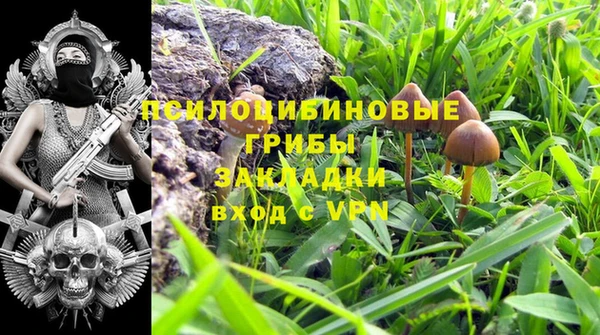 a pvp Абаза