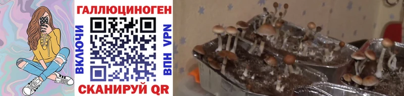 Галлюциногенные грибы Magic Shrooms  Юрга 