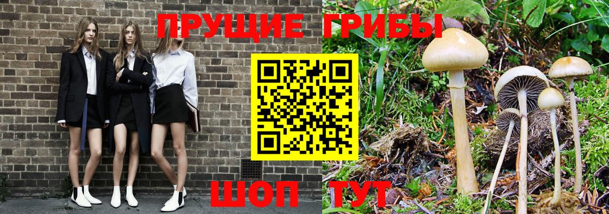 Галлюциногенные грибы прущие грибы Юрга