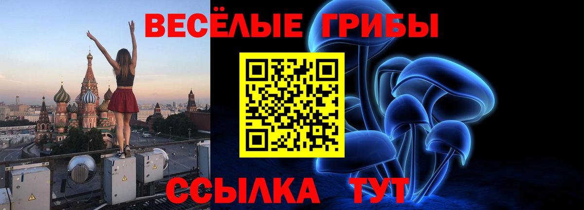 Юрга  Псилоцибиновые грибы Magic Shrooms  Вход с VPN 